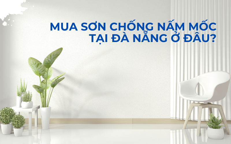 Mua sơn chống nấm mốc tại Đà Nẵng ở đâu