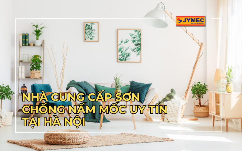 Nhà cung cấp sơn chống nấm mốc uy tín tại Hà Nội