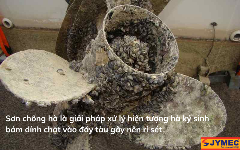 Sơn chống hà giúp bảo vệ tàu biển