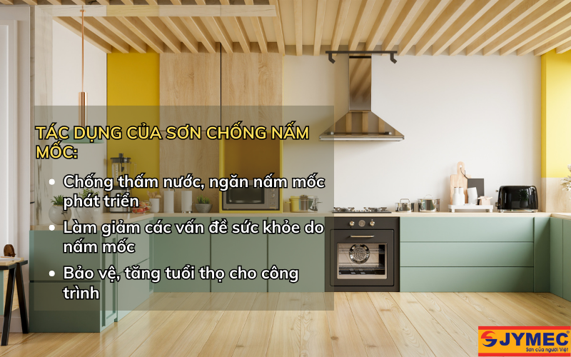 Tác dụng vượt trội của sơn chống nấm mốc