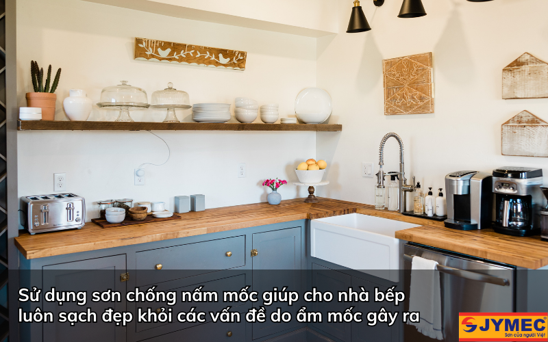 Tại sao nên sử dụng sơn chống nấm mốc cho nhà bếp