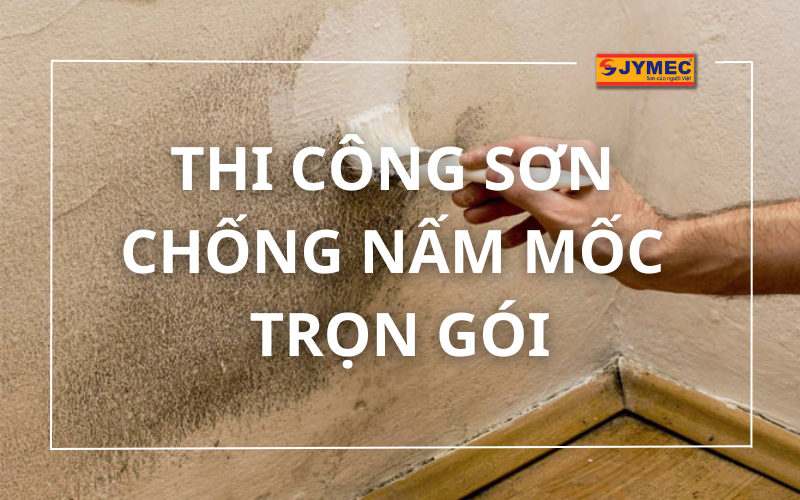 Chi phí thi công sơn chống nấm mốc trọn gói