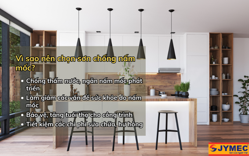 Vì sao nên sử dụng sơn chống nấm mốc cho nhà ở?