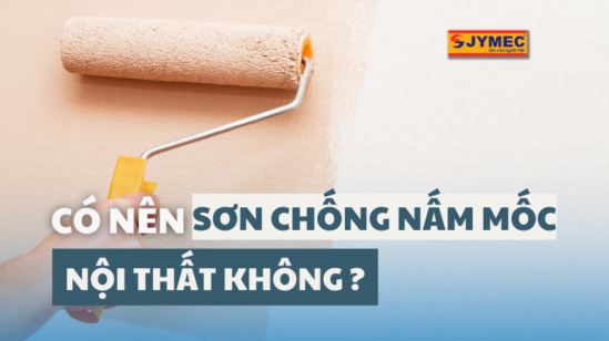 Có nên sử dụng sơn chống nấm mốc nội thất không?