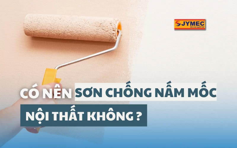 Có nên sử dụng sơn chống nấm mốc nội thất không?