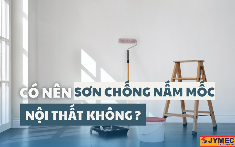 Có nên sơn chống nấm mốc nội thất không