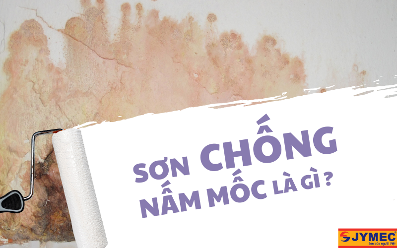 Sơn chống nấm mốc là gì