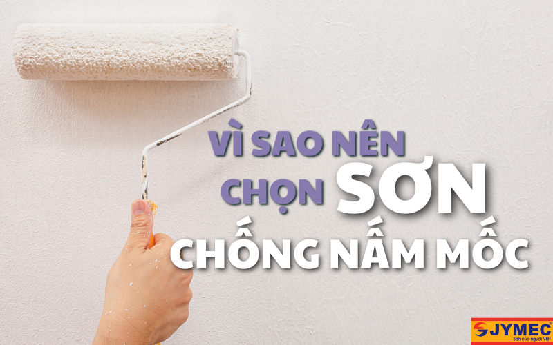 Vì sao nên chọn sơn chống nấm mốc