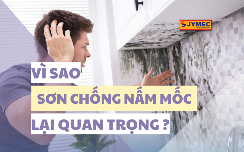 Vì sao sơn chống nấm mốc lại quan trọng?
