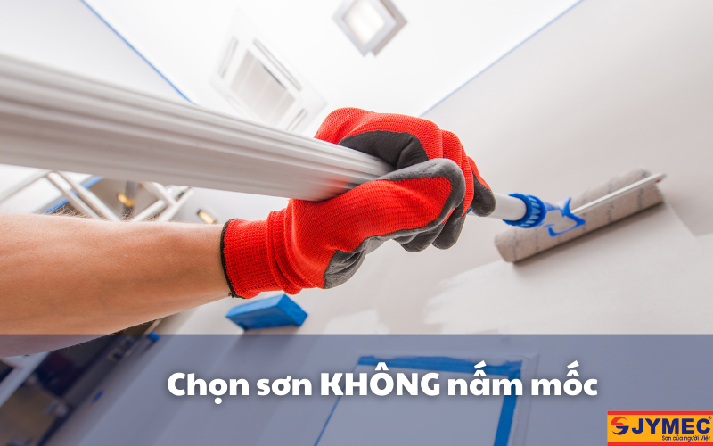 Chọn sơn nhà có khả năng chống nấm mốc