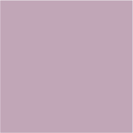 JM 127-3 
Lilac Beauty