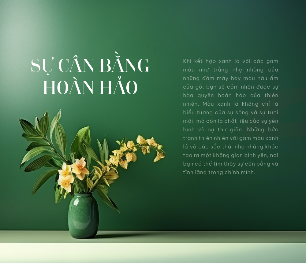 Su Can Bang Hoan Hao