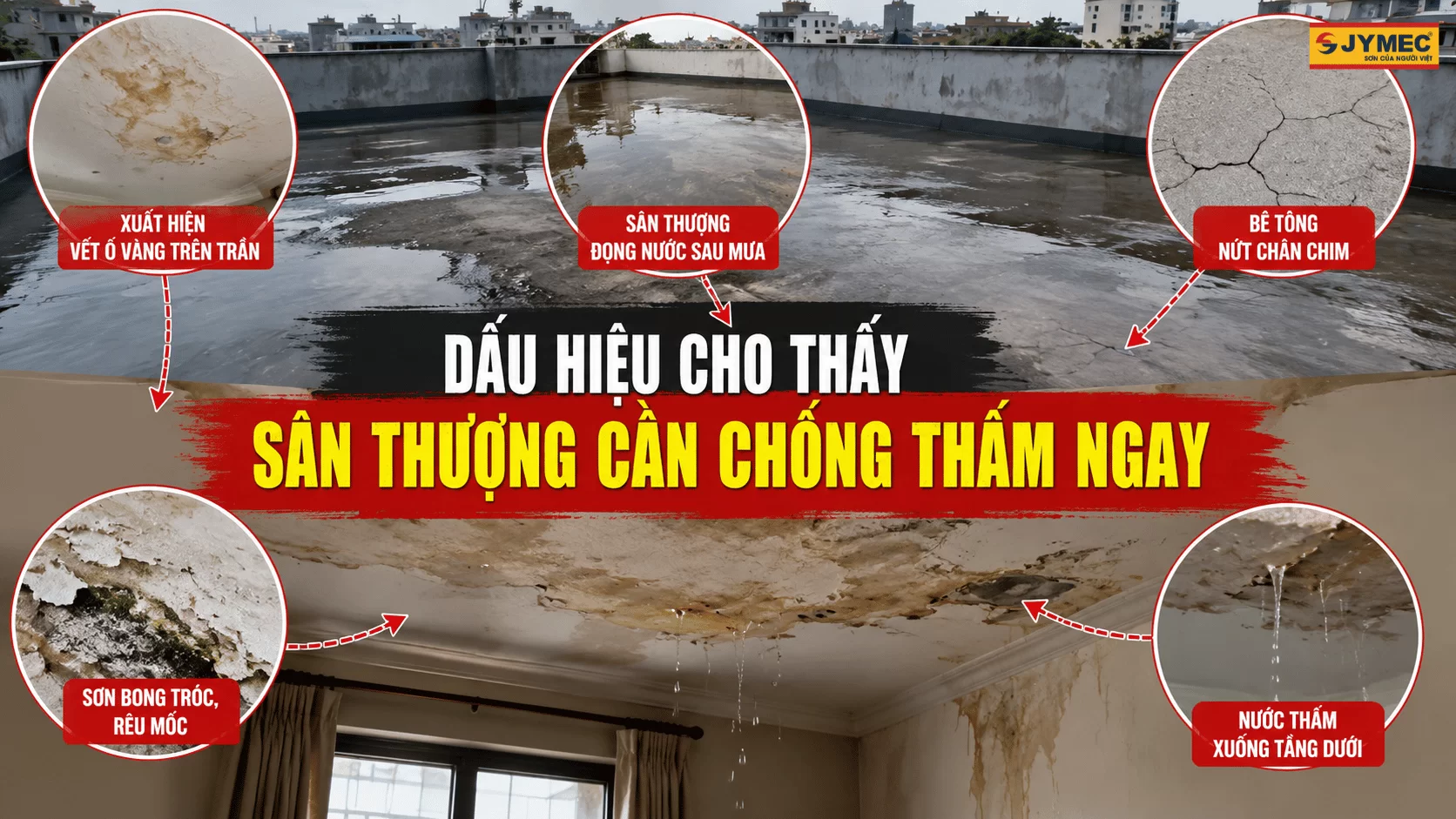 Dau Hieu San Thuong Bi Tham