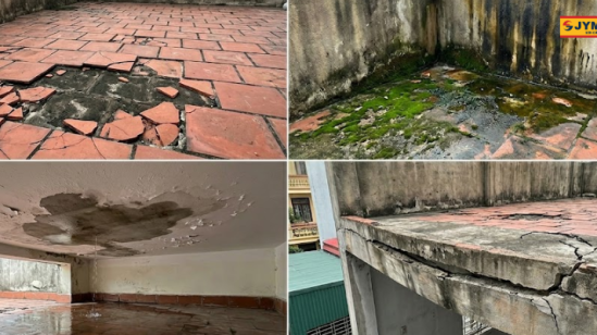 5 Nguyên nhân khiến sân thượng xuống cấp nhanh