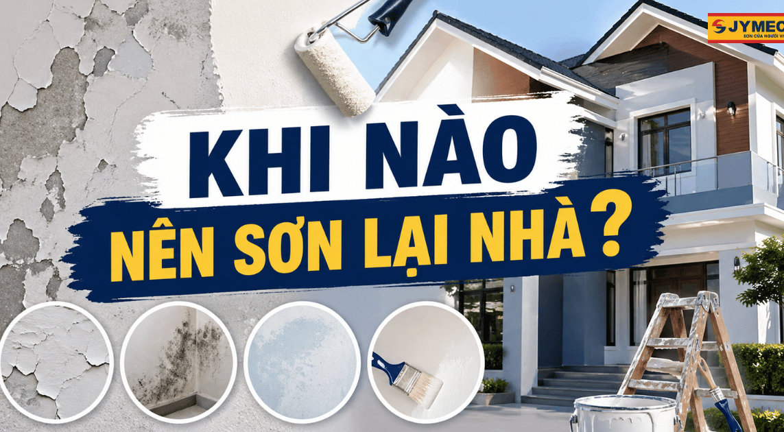 Khi nào nên sơn lại nhà? Dấu hiệu bạn không nên bỏ qua
