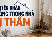 Nguyen Nha Tuong Trong Nha Bi Tham 1