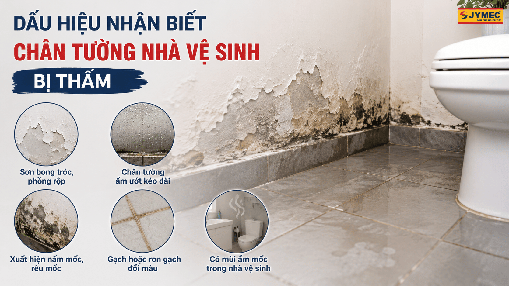 Dau Hieu Chan Tuong Nha Ve Sinh Bi Tham