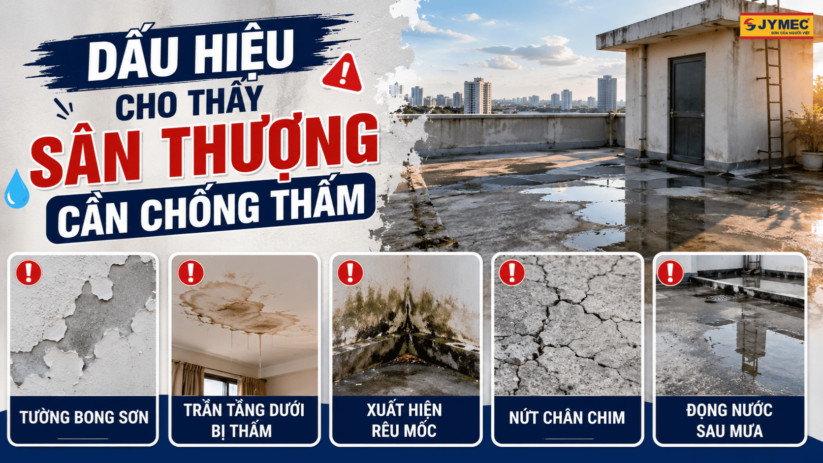 Dau Hieu San Thuong Bi Tham