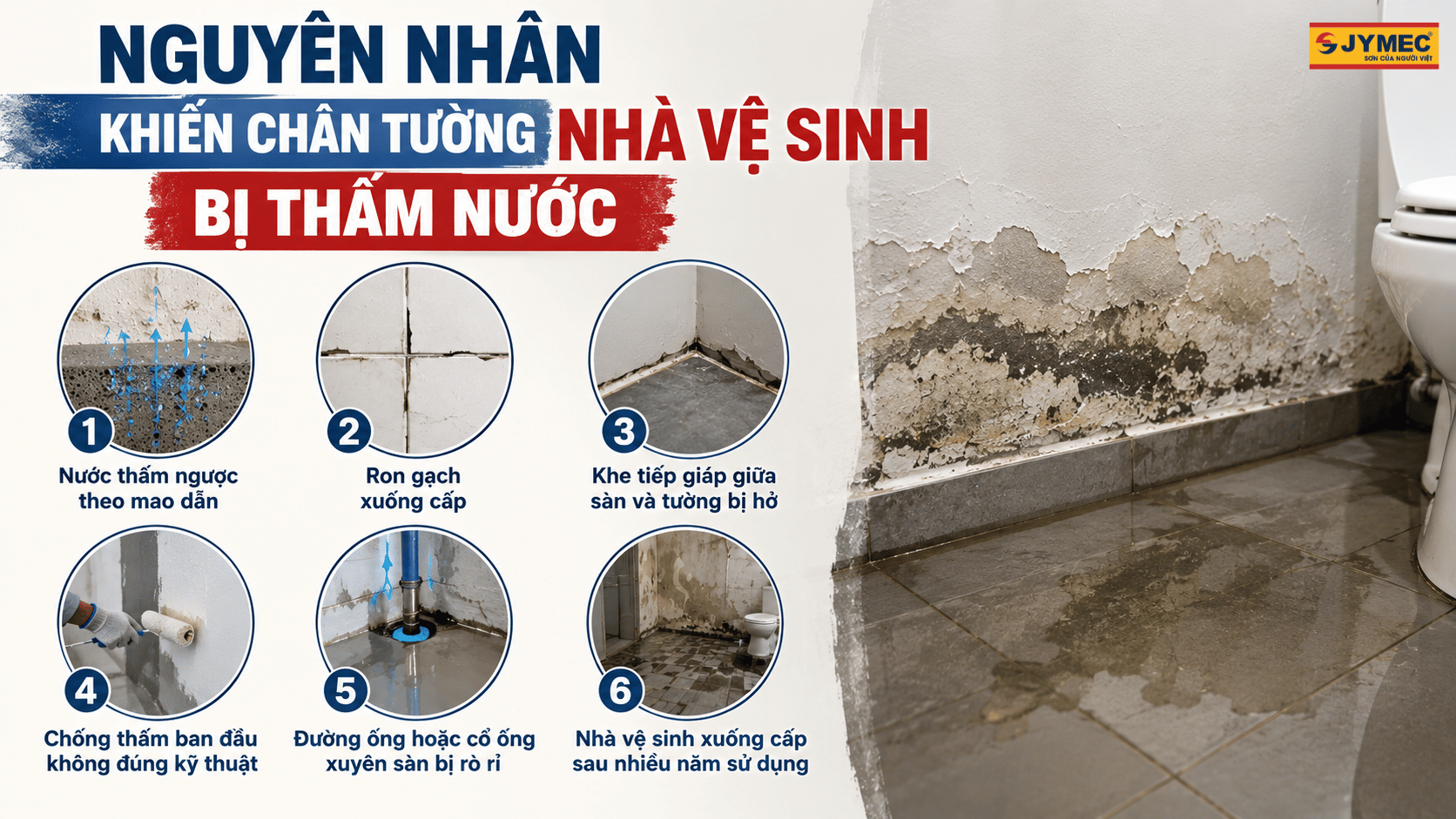 Nguyen Nhan Chan Tuong Nha Ve Sinh Bi Tham