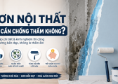 Son Noi That Co Can Chong Tham Khong