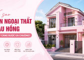 Vi Sao Ngoai That Mau Hong Ngay Cang Ua Chuong
