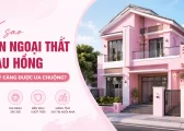 Vi Sao Ngoai That Mau Hong Ngay Cang Ua Chuong