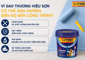 Thuong Hieu Son Co Anh Huong Den Do Ben Cong Trinh 1