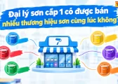 Dai Ly Son Cap 1 Co Duoc Ban Nhieu Thuong Hieu 1