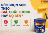 Nen Chon Son Theo Gia Chat Luong Hay Do Ben 4