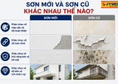 Son Moi Va Son Cu Khac Nhau The Nao Khi Nao Nen Thay He Son 1