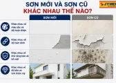 Son Moi Va Son Cu Khac Nhau The Nao Khi Nao Nen Thay He Son 1