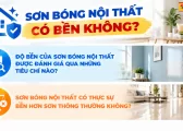 Son Bong Noi That Co Ben Khong Danh Gia Sau 5 Nam 1