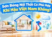Son Bong Noi That Co Phu Hop Khi Hau Viet Nam 2