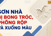 Vi Sao Son Nha Bi Bong Troc Phong Rop Va Xuong Mau 3